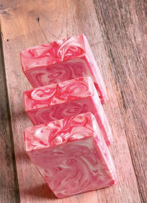 Cranberry Salsa Soap